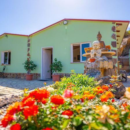 Casa Rural Buda Terra Σάντα Κρουζ Τενερίφης Εξωτερικό φωτογραφία