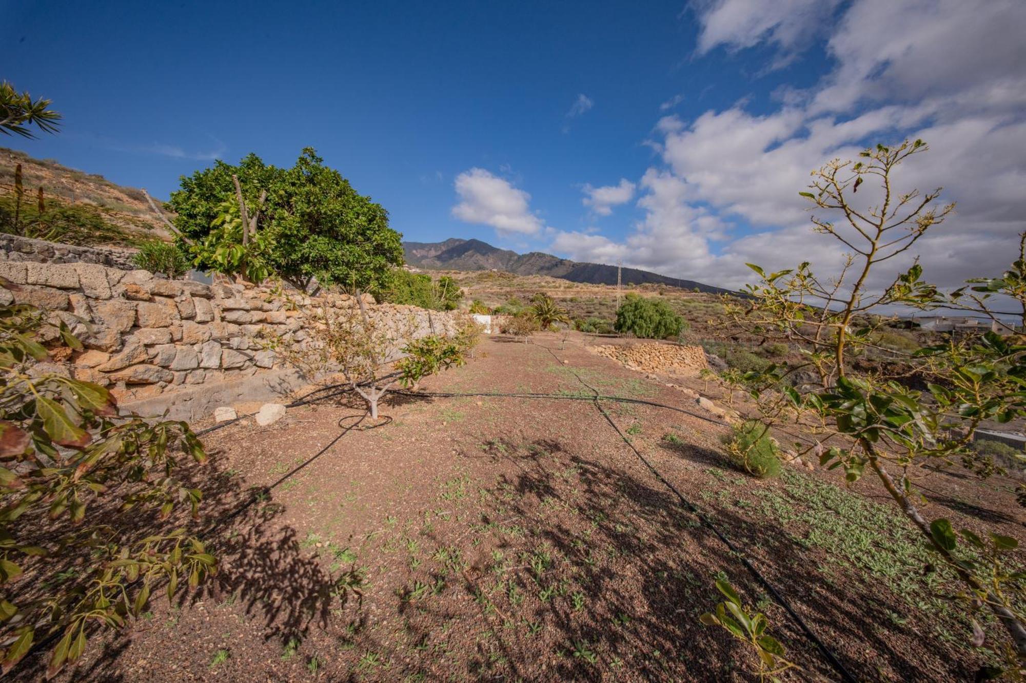 Casa Rural Buda Terra Σάντα Κρουζ Τενερίφης Εξωτερικό φωτογραφία