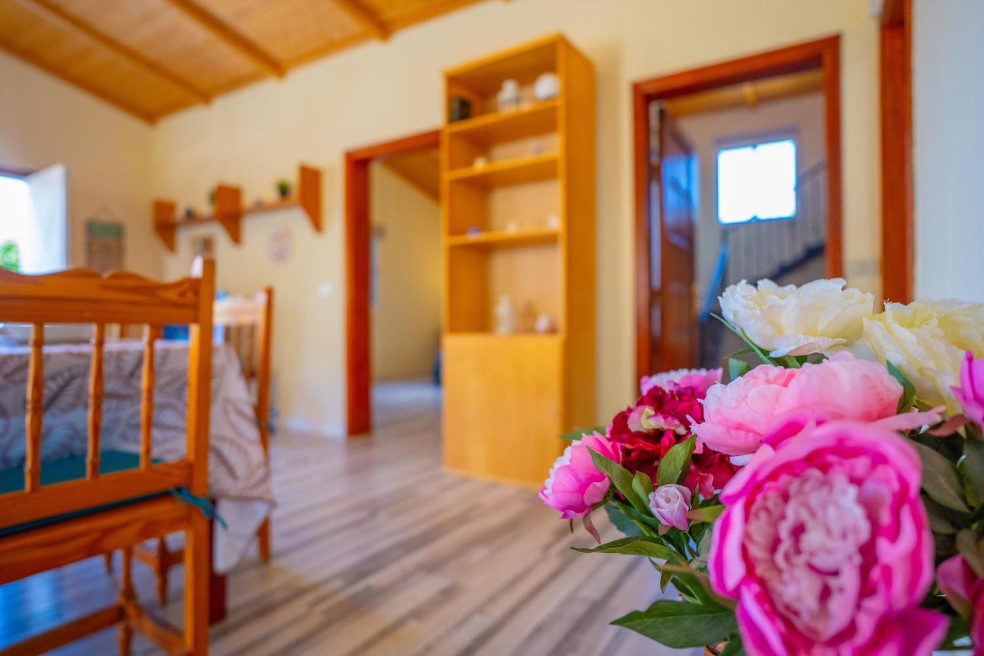 Casa Rural Buda Terra Σάντα Κρουζ Τενερίφης Εξωτερικό φωτογραφία