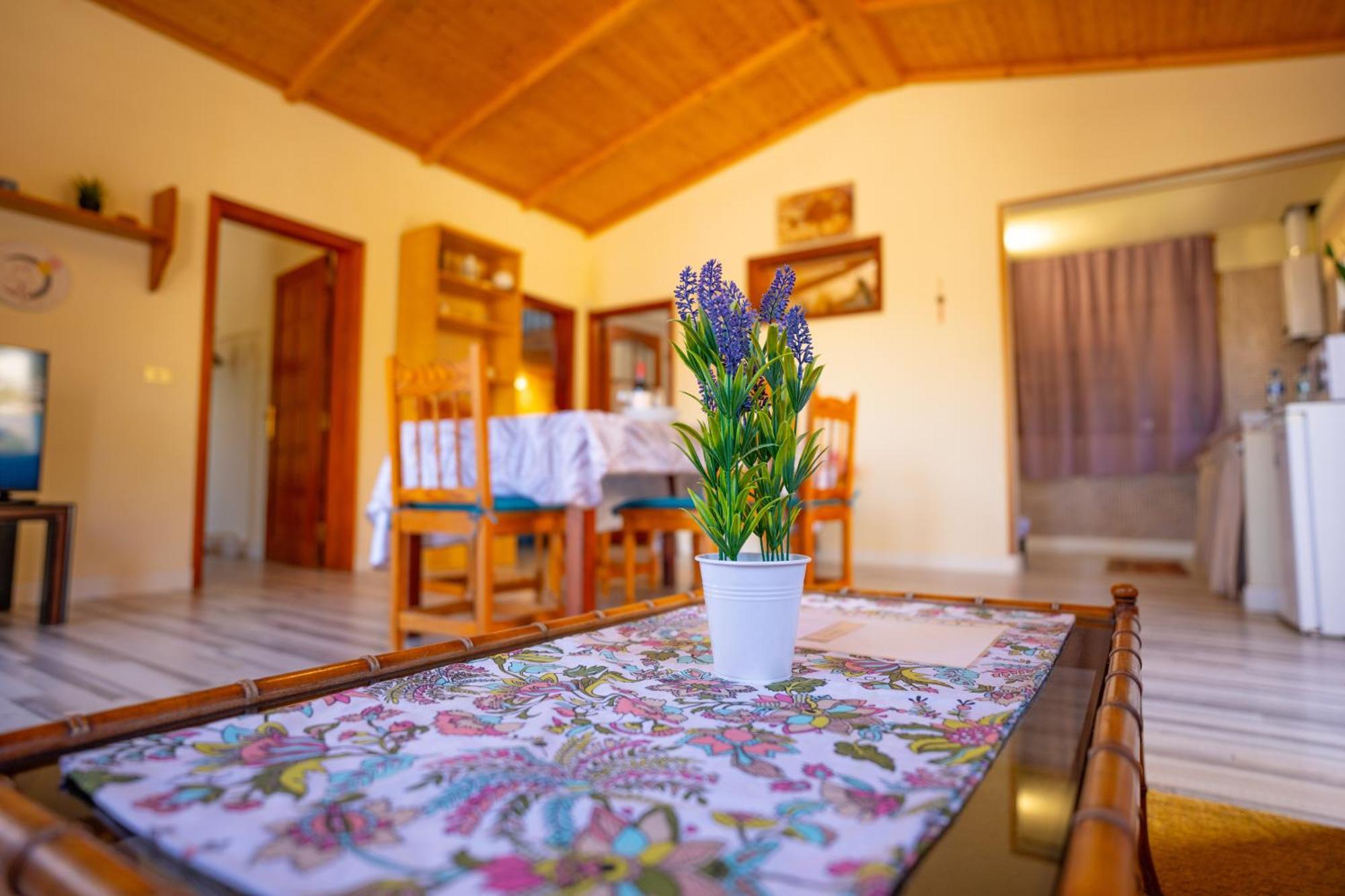Casa Rural Buda Terra Σάντα Κρουζ Τενερίφης Εξωτερικό φωτογραφία